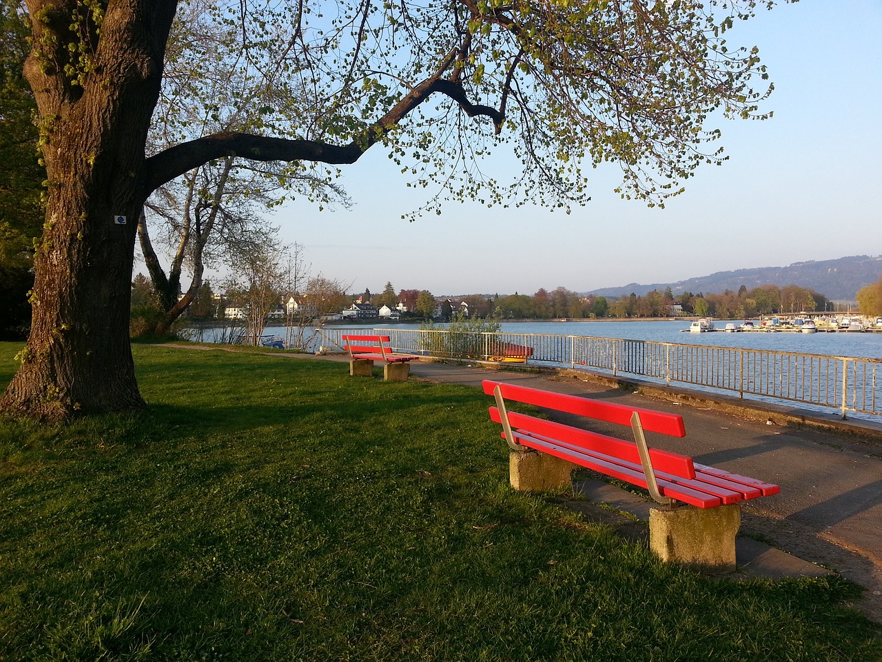 掘金队中其 掘金队中其