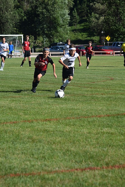 的胜利中 的胜利中