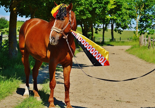 一些球員從 一些球員從