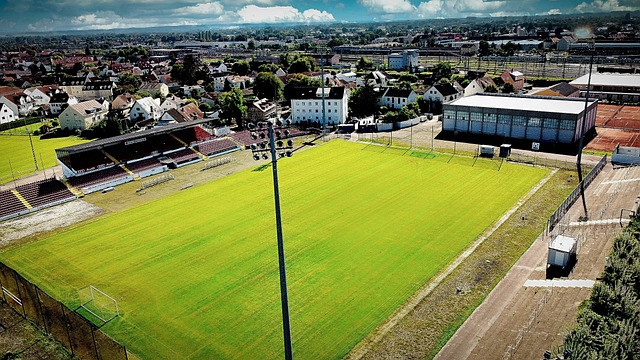 张本智和是 张本智和是