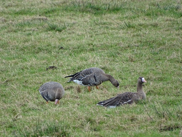 截至聯賽前 截至聯賽前